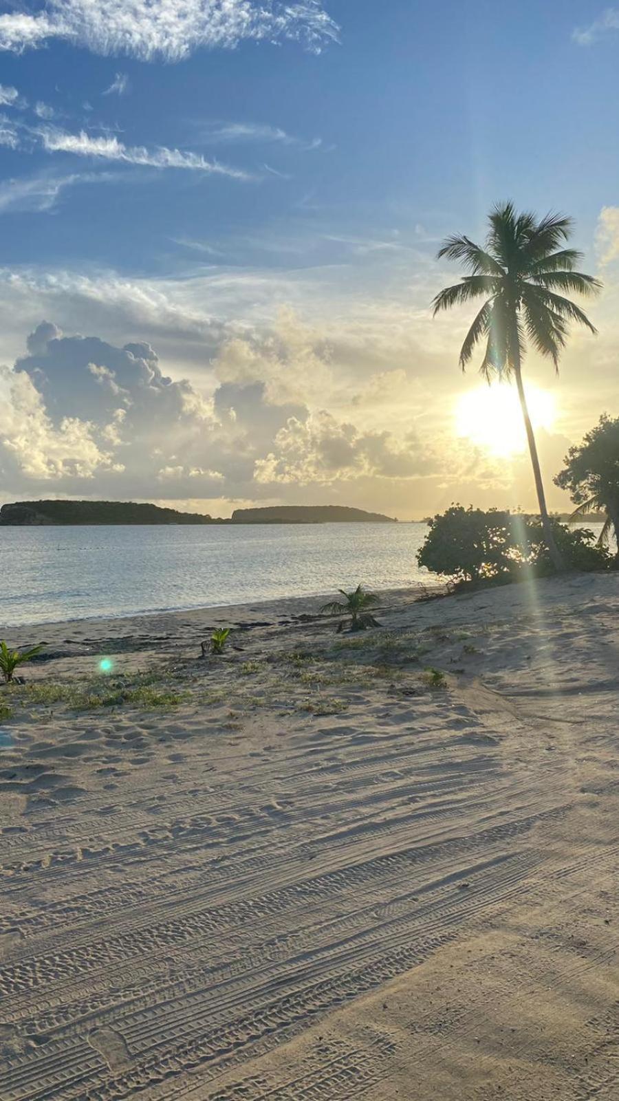 Casa Costa Sur Leilighet Vieques Eksteriør bilde